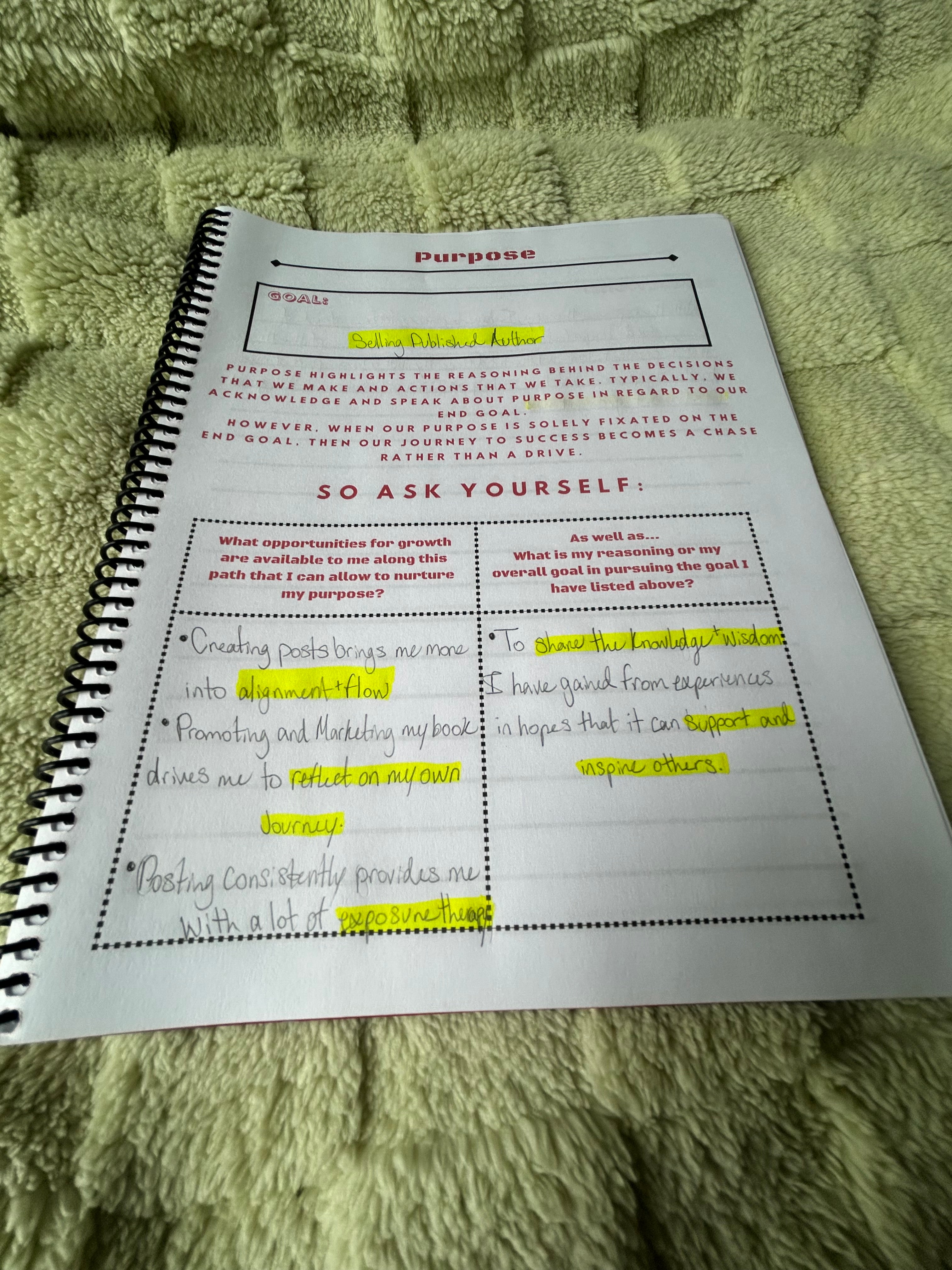 Bring Your Dreams to Life: A Guidebook (Notebook)
